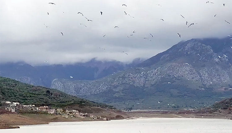 Μια εικόνα από το φράγμα Αποσελέμη με τα... πουλιά και το νερό που δίνουν ελπίδα για τη ζωή. Φωτογραφία Σπύρος Λιανάκης.