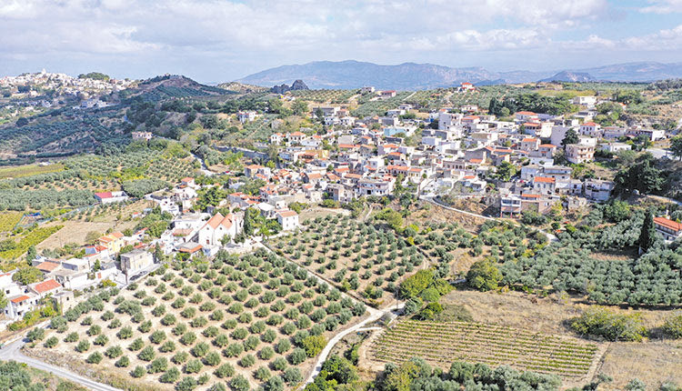 ΦΗ εξωστρέφεια της αγροτικής οικονομίας πάει στον... Αγιο Μύρωνα