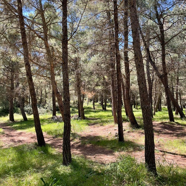 Απαγόρευση κυκλοφορίας σε περιοχές NATURA, δασικά οικοσυστήματα, πάρκα και άλση της Κρήτης