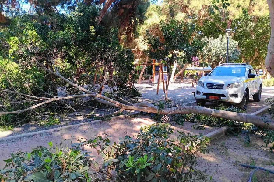 Άμεση η αντίδραση της Υπηρεσίας Πρασίνου του Δήμου μετά την πτώση του μεγάλου κλαδιού στο Πάρκο Γεωργιάδη