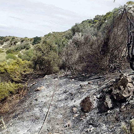 Αμετανόητοι ορισμένοι καίνε τα υπολείμματα καλλιεργειών παρά τις απαγορεύσεις