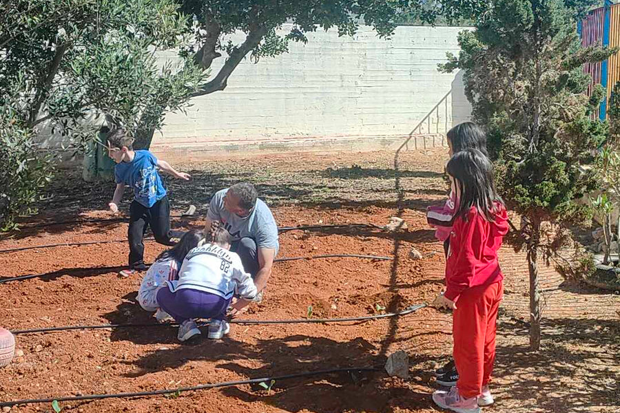 Ο σχολικός λαχανόκηπος του 4ου Δημοτικού Σχολείου Ν.Αλικαρνασσού