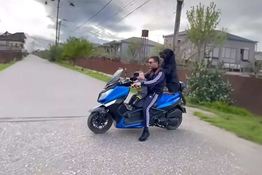 Έβαλε σκύλο και παιδί συνοδηγούς στην μοτοσικλέτα και ποζάρει…