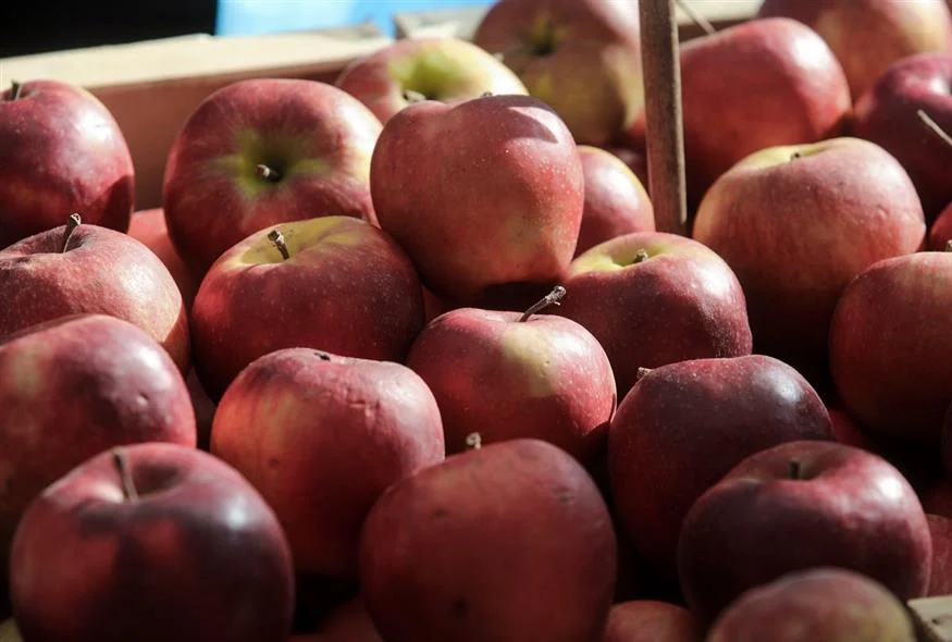 Λ. Αυγενάκης: Πτώση 45% στις εξαγωγές μήλων Θεσσαλίας