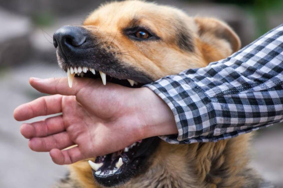 Ζήτησε χρήματα για να μην καταγγείλει τον… δήθεν τραυματισμό του από δάγκωμα σκύλου