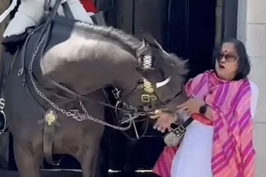 Λονδίνο: Άλογο της βρετανικής φρουράς δάγκωσε τουρίστρια
