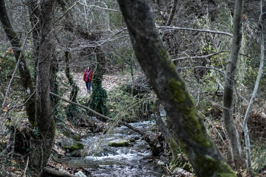 Παράταση έως τις 21 Ιουνίου για τα μέτρα πυροπροστασίας ακινήτων σε δάση