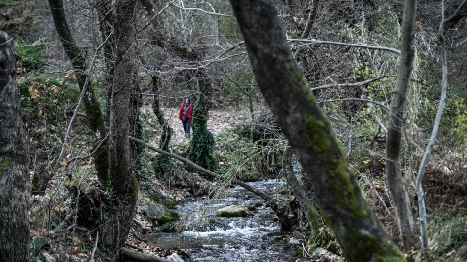 Πράσινο Ταμείο: 30 εκατ. ευρώ για προληπτικά μέτρα πυροπροστασίας