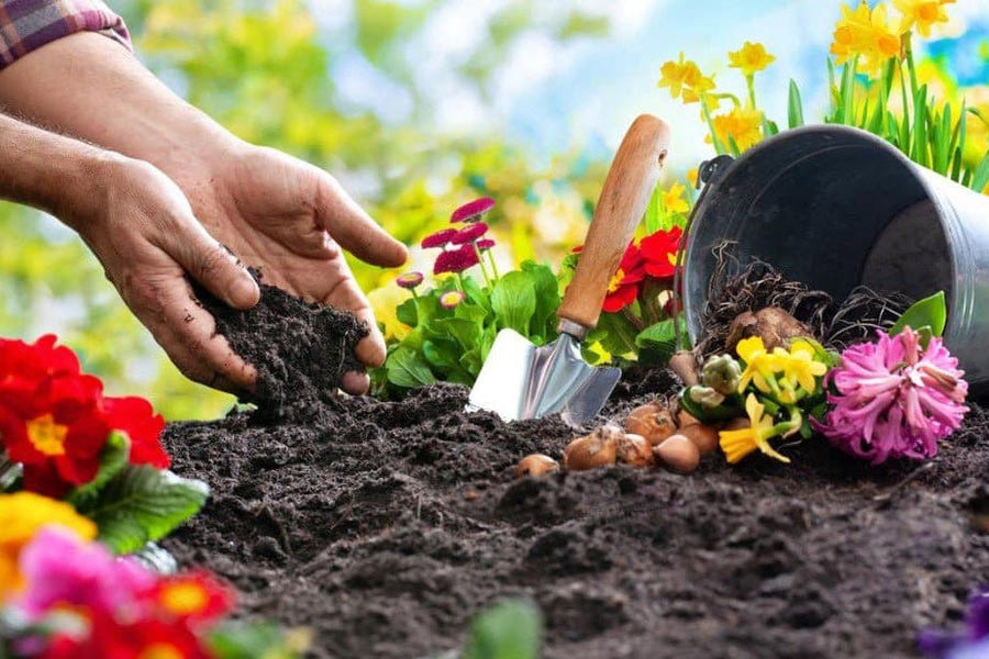 Η κηπουρική και η ψυχική υγεία