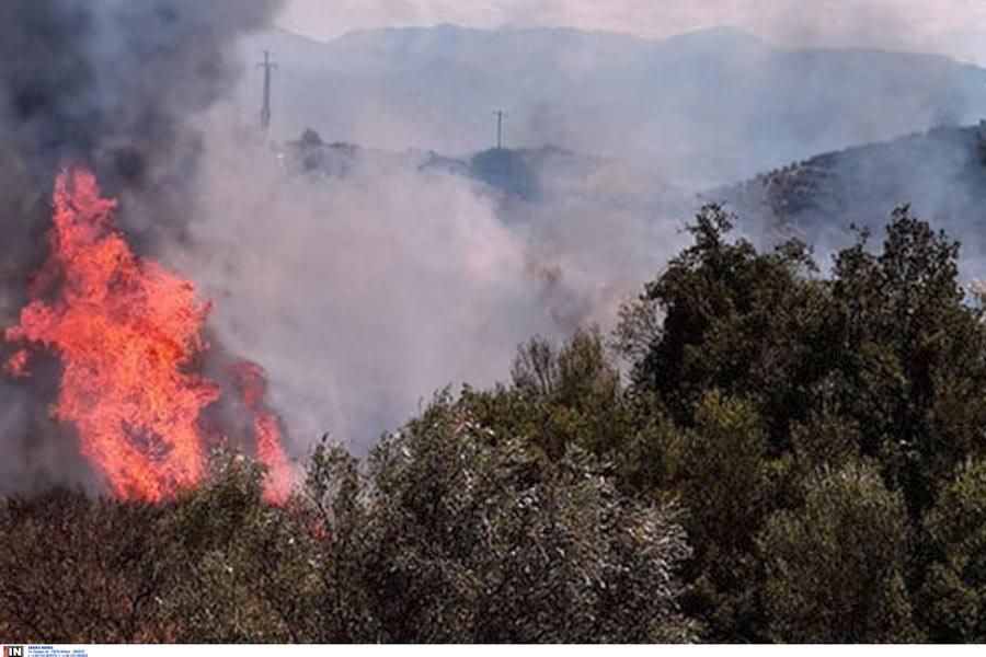 Εκτός ελέγχου οι φωτιές σε Μεγαλόπολη, Κρανίδι και Αχαΐα – Στα σπίτια οι φλόγες