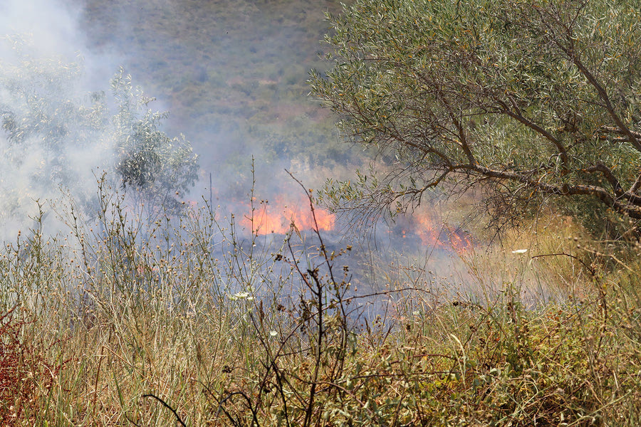 Τρεις συλλήψεις για πυρκαγιές σε Σαλαμίνα, Ραφήνα και Πόρο