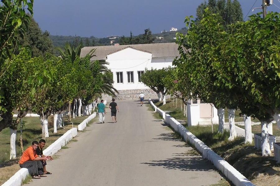 Χανιά: Αγελαδινό γάλα της φυλακής μετατρέπεται σε μεξικάνικης συνταγής τυρί!