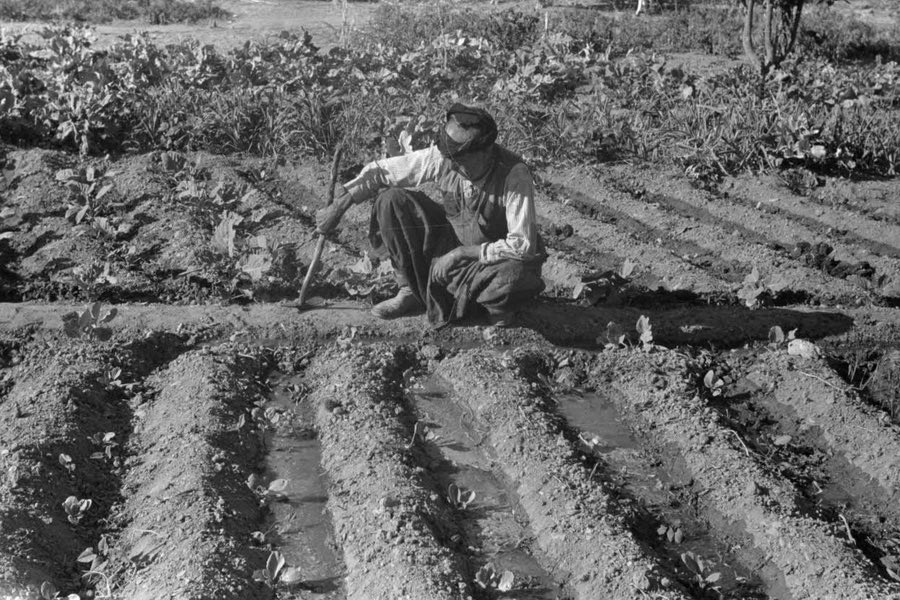 Καστέλλι 1942. Πότισμα με τον παραδοσιακό τρόπο από ένα κάτοικο της περιοχής