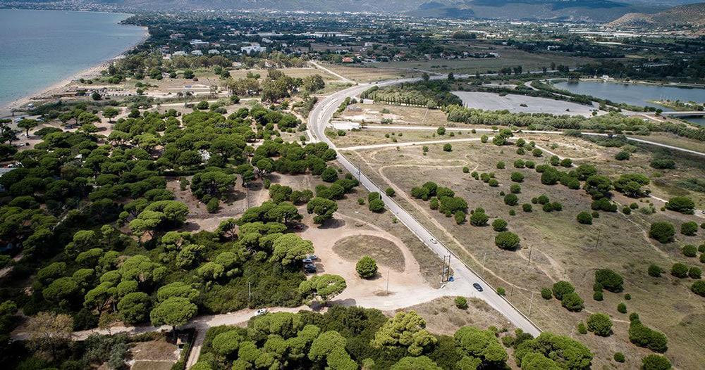 Ταλαιπωρία δίχως τέλος για τους δασικούς χάρτες στο Λασίθι: Δύο δασολόγοι σε όλο τον νομό, “λιμνάζουν” 14.000 υποθέσεις!