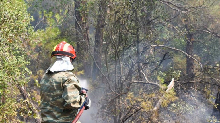 Φωτιά σε δάσος στην Αρκαδία- Ισχυρή πυροσβεστική δύναμη στο σημείο