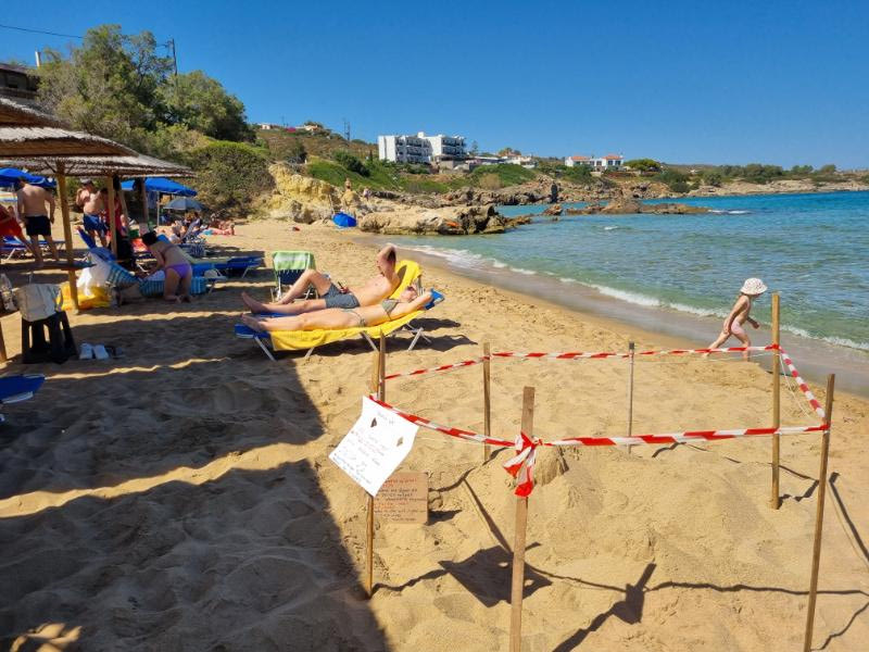 Χανιά: Φωλιά θαλάσσιας χελώνας και στην παραλία του Καλαθά