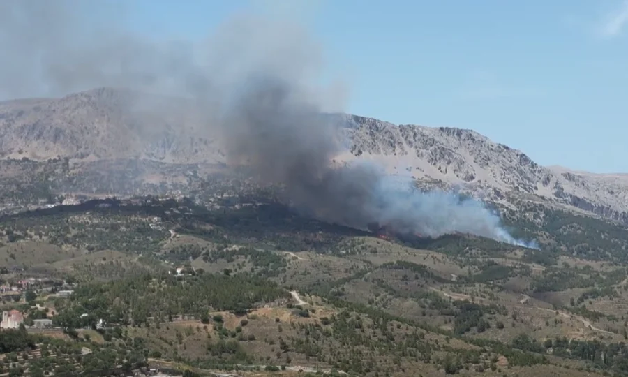 Χίος: Στάχτη 270 στρέμματα, δάσος και καλλιέργειες, από την μεγάλη πυρκαγιά στις Καρυές