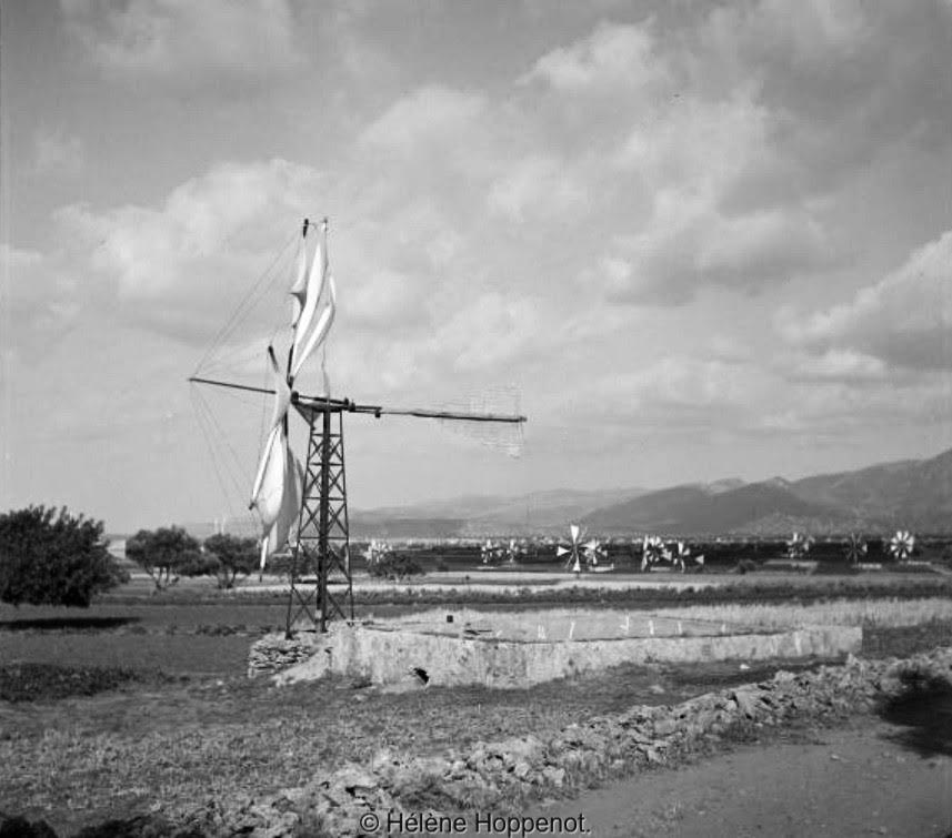 1951: Oροπέδιο Λασιθίου, διακρίνονται οι πραγματικά πολλοί ανεμόμυλοι