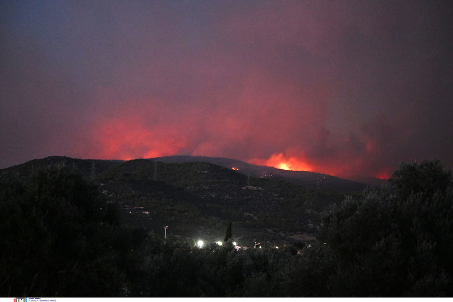 Φωτιά στην Εύβοια: Καίγεται πευκοδάσος – Ολονύχτια μάχη με ισχυρές επίγειες δυνάμεις