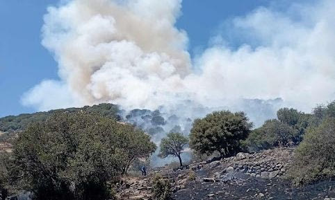 Μυτιλήνη: Συνελήφθη 28χρονος για την πυρκαγιά στο Μανταμάδο