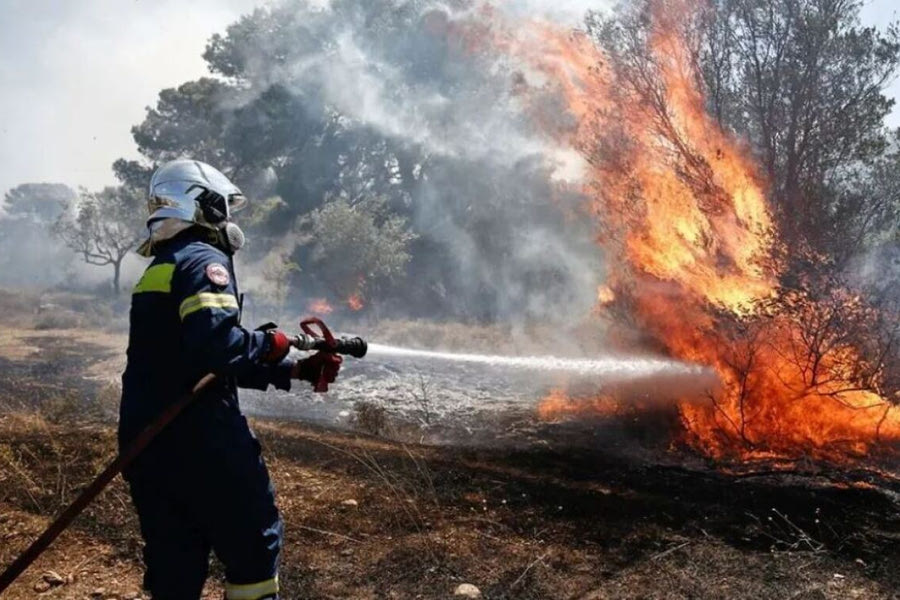 Πυρκαγιά στα Ιωάννινα – Μεγάλη κινητοποίηση της πυροσβεστικής