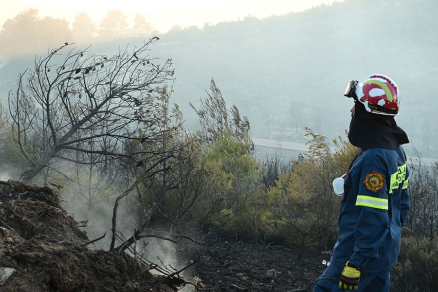 Συνεχίζουν να καίνε οι φωτιές σε Ζάκυνθο και Δίστομο