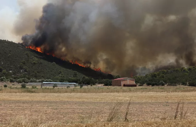 «Μάχη» με τα πύρινα μέτωπα στη χώρα: 43 πυρκαγιές το τελευταίο 24ωρο