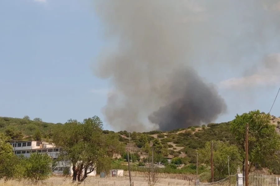 Φωτιά στο Συκάμινο Ωρωπού – Εστάλη μήνυμα από το 112, σηκώθηκαν και εναέρια