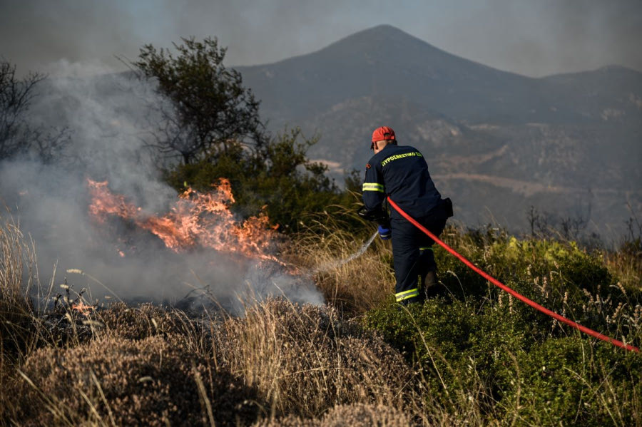 Συναγερμός στην Πυροσβεστική για φωτιά στις Πρέσπες.