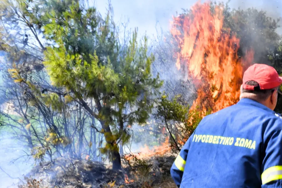 Ηράκλειο: Φωτιά εκδηλώθηκε σε περιοχή του Κατσαμπά