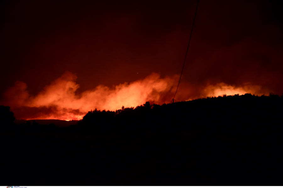 Εκκένωση κατασκήνωσης στο Γραμματικό – 400 παιδιά έχουν ήδη μεταφερθεί στο κωπηλοταδρόμιο Μαραθώνα