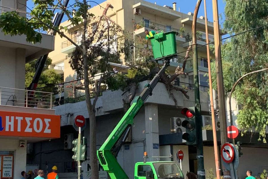 Τα δέντρα που κόβονται παρουσία των ΜΑΤ, η οργή των κατοίκων και ένα ερώτημα…