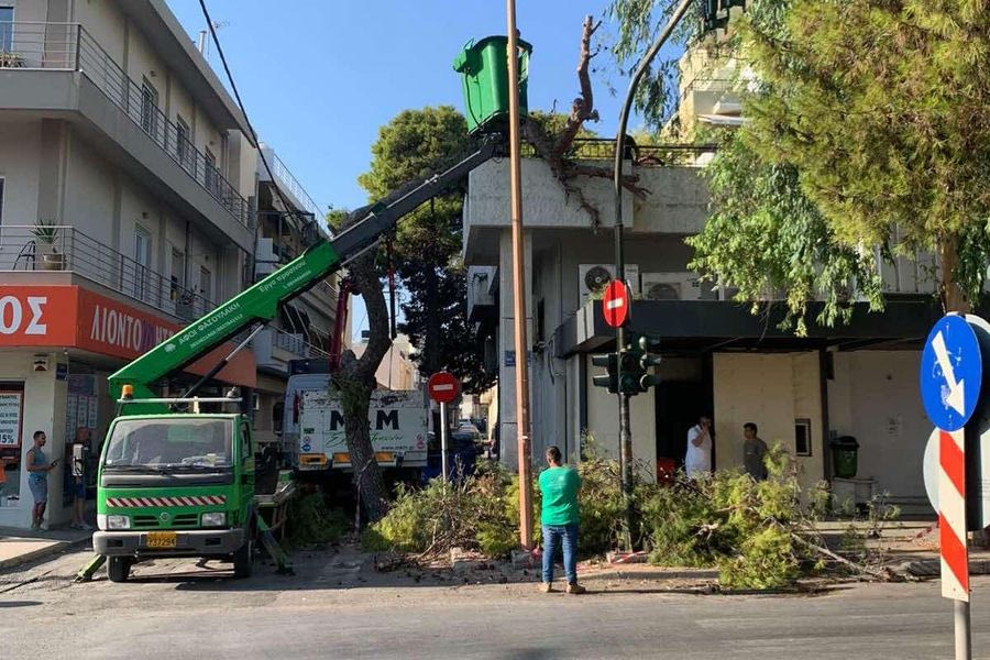 Οι κοπές των δέντρων έφεραν ξανά τη σύλληψη του Νίκου Γιαλιτάκη – Προσήχθη και η Μαρία Σκραφνάκη