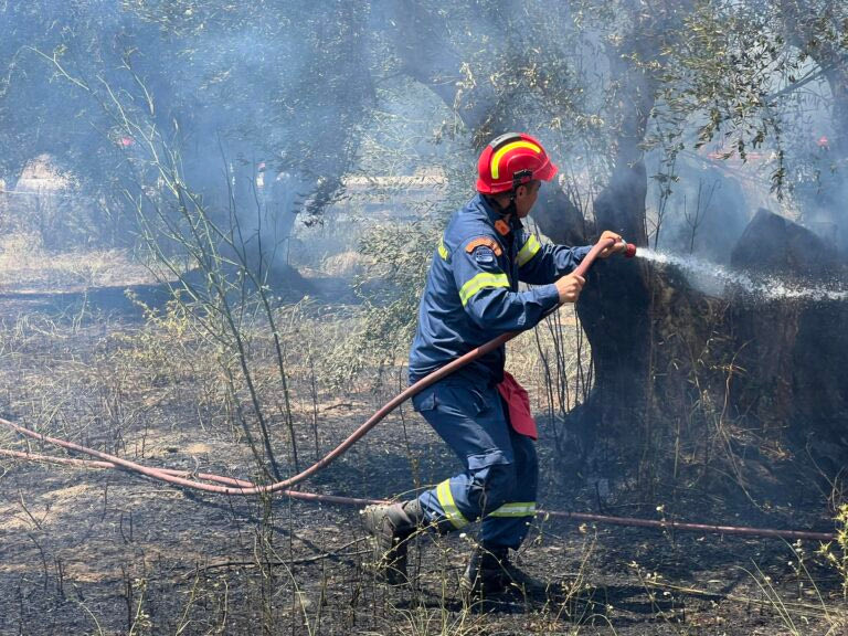 Πυροσβεστική: 30 αγροτοδασικές πυρκαγιές το τελευταίο 24ωρο σε όλη την χώρα