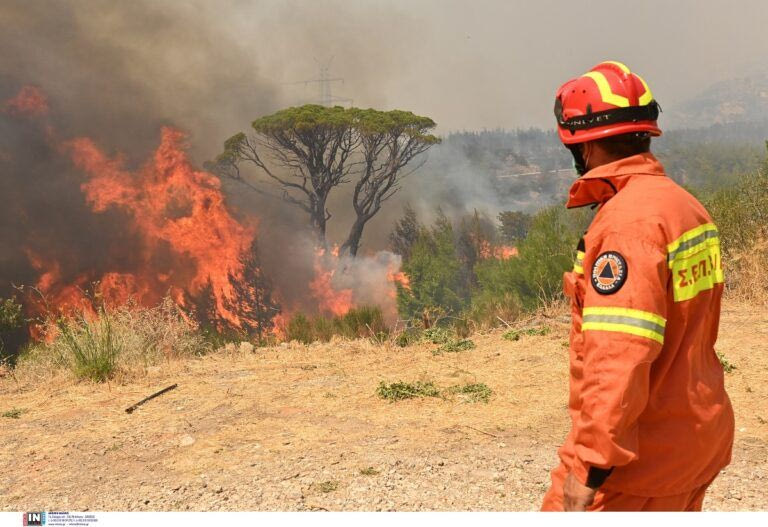 Πολύ υψηλός κίνδυνος πυρκαγιάς (κατηγορία κινδύνου 4) για το Σάββατο 24 Αυγούστου 2024 στην Κρήτη