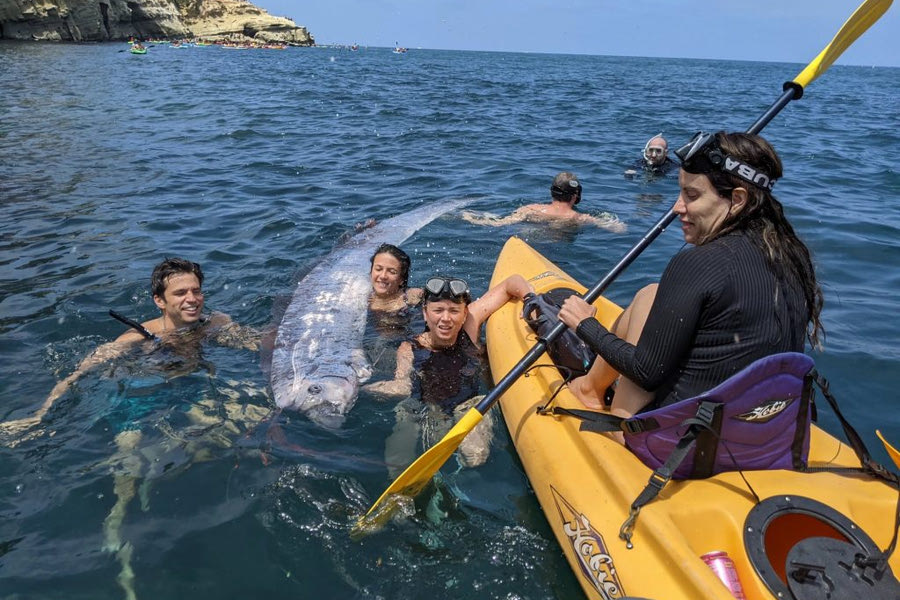 Καλιφόρνια: Ξεβράστηκε ένα Doomsday fish