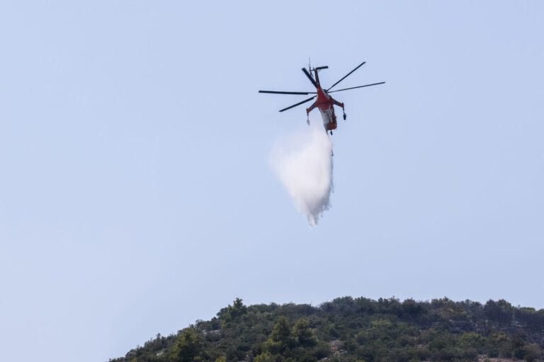 Εύβοια: Δύο φωτιές σε Ζάρακες και Μεσοχώρια – Ισχυρή κινητοποίηση της Πυροσβεστικής