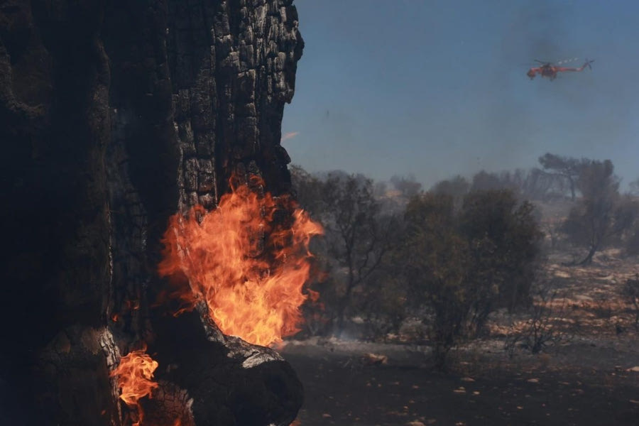 Φωτιά στη Ροδόπη – Άμεση κινητοποίηση της Πυροσβεστικής