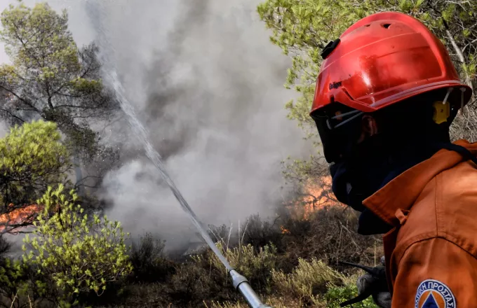 Φωτιά σε δασική έκταση στα Ιωάννινα – Κινητοποιήθηκε ελικόπτερο