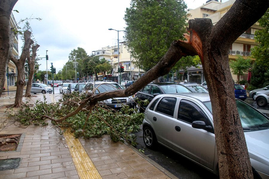 Ηράκλειο: Πολίτες κατέθεσαν μήνυση κατά του Αλ. Καλοκαιρινού για τις παράνομες κοπές δέντρων