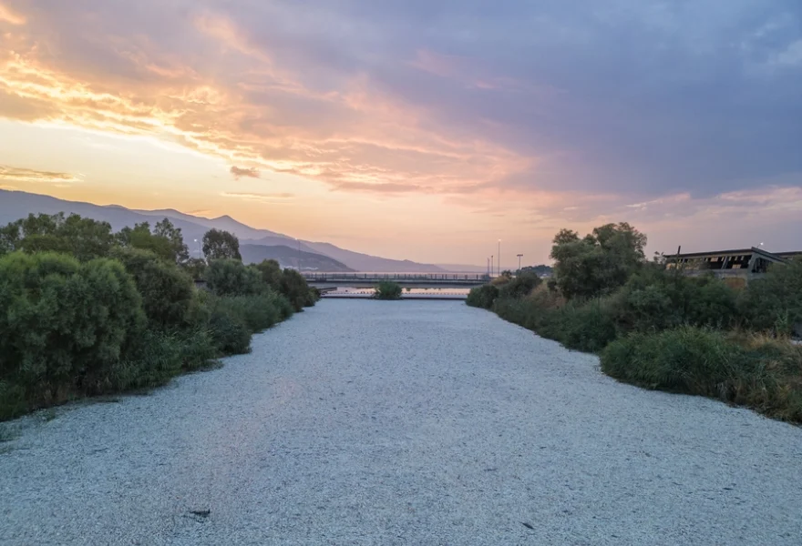 Νεκρά ψάρια στον Βόλο: Συγκλονιστικές εικόνες πάνω από την Κάρλα και το δίχτυ στον Ξηριά