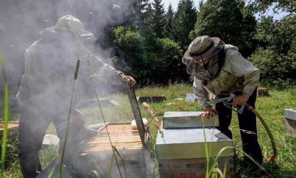 Η κλιματική κρίση «σκοτώνει» και το μέλι