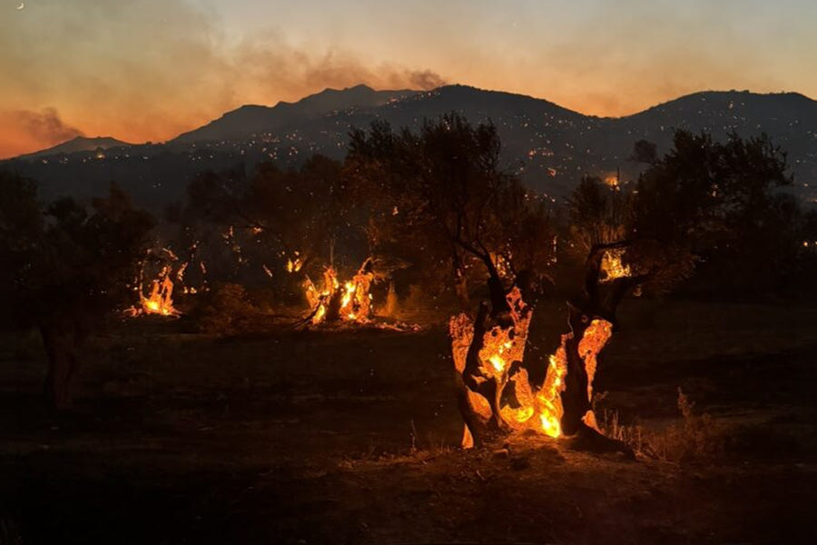 Ολονύχτια μάχη με τη φωτιά στο Ρέθυμνο – 290 πυροσβέστες στη μάχη, εκκενώθηκαν 9 χωριά