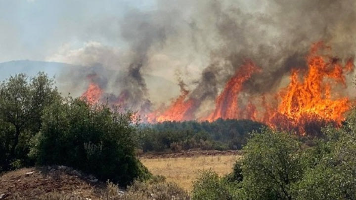 Οριοθετήθηκε άμεσα η φωτιά στο Σουφλί – Πυρκαγιά στη Ροδόπη