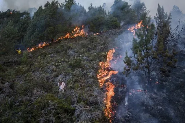 Καίγεται η Κολομβία: Πάνω από 90.000 στρέμματα στάχτη