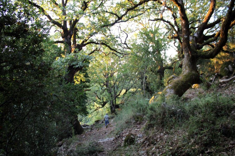 Λασίθι: Κτηνοτρόφος ανακάλυψε σκελετό που ανήκει σε άνδρα που αγνοούνταν 12 χρόνια