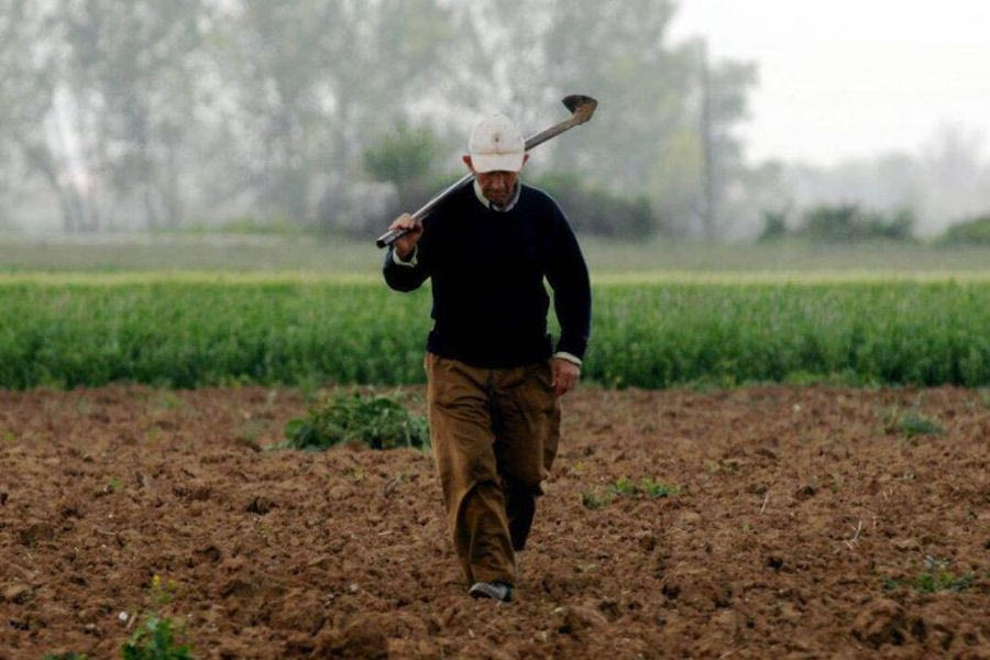 Γηρασμένοι αγρότες με μικρές εκτάσεις