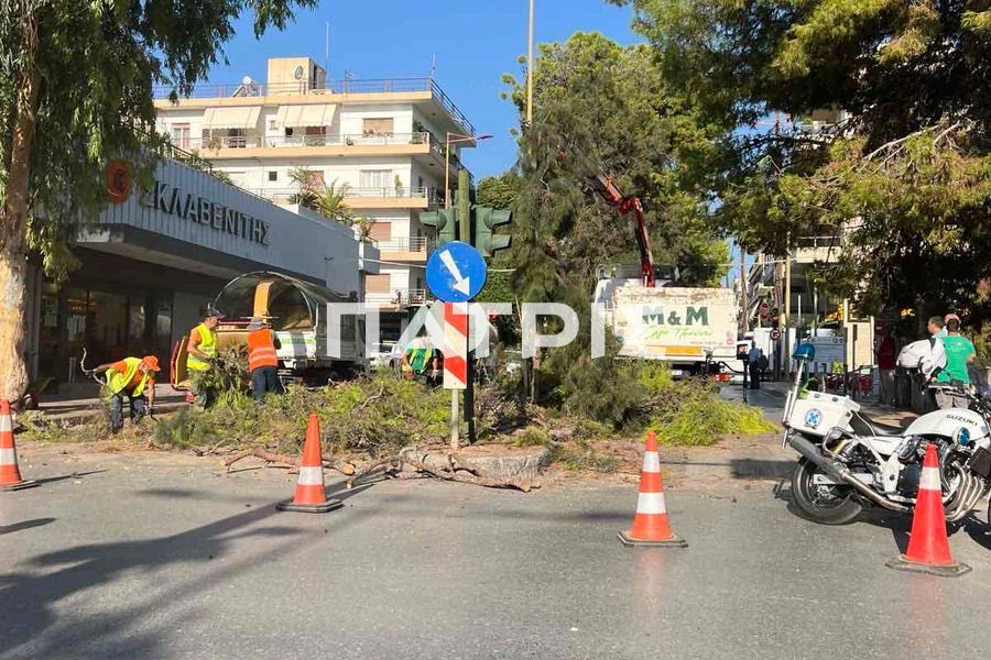 Ηράκλειο: Συνεχίζονται οι κοπές δέντρων από το Δήμο