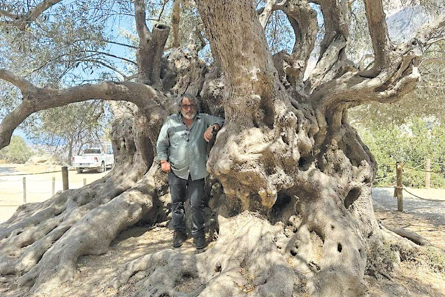 «Ωδή στην ελιά» στο χώρο  της αρχαίας Ελιάς στο Καβούσι