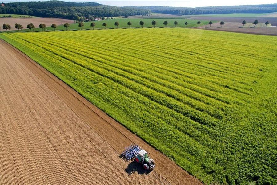 Το μέλλον της γεωργίας στην ΕΕ – Οι πέντε πυλώνες δράσης